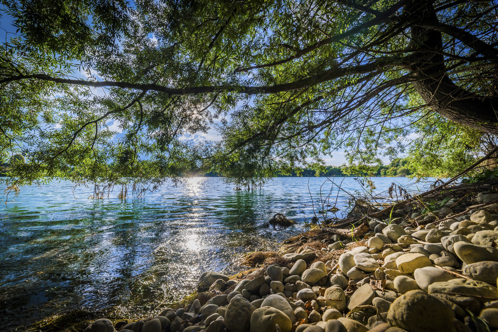 Platz 7 Harald Unglert